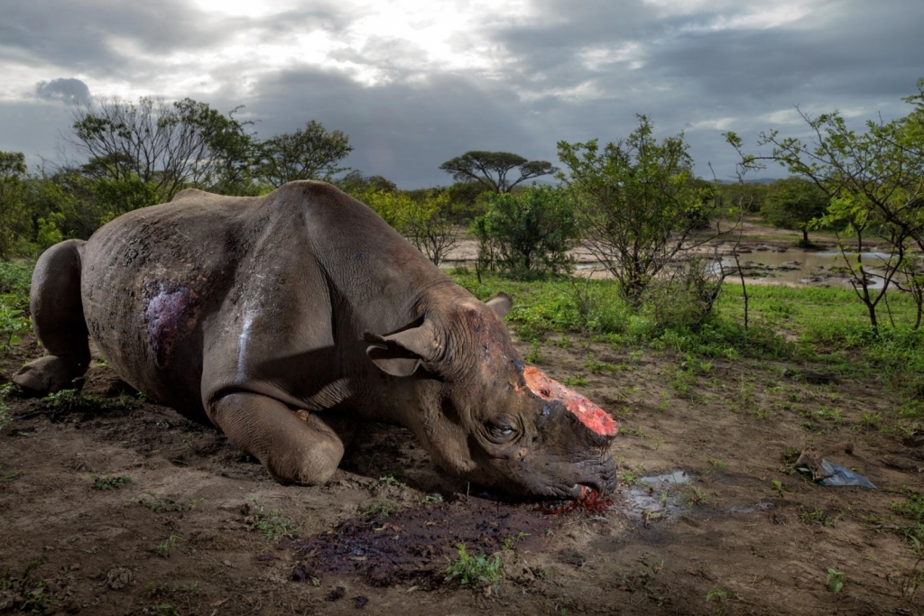 Photograph by BRENT STIRTON