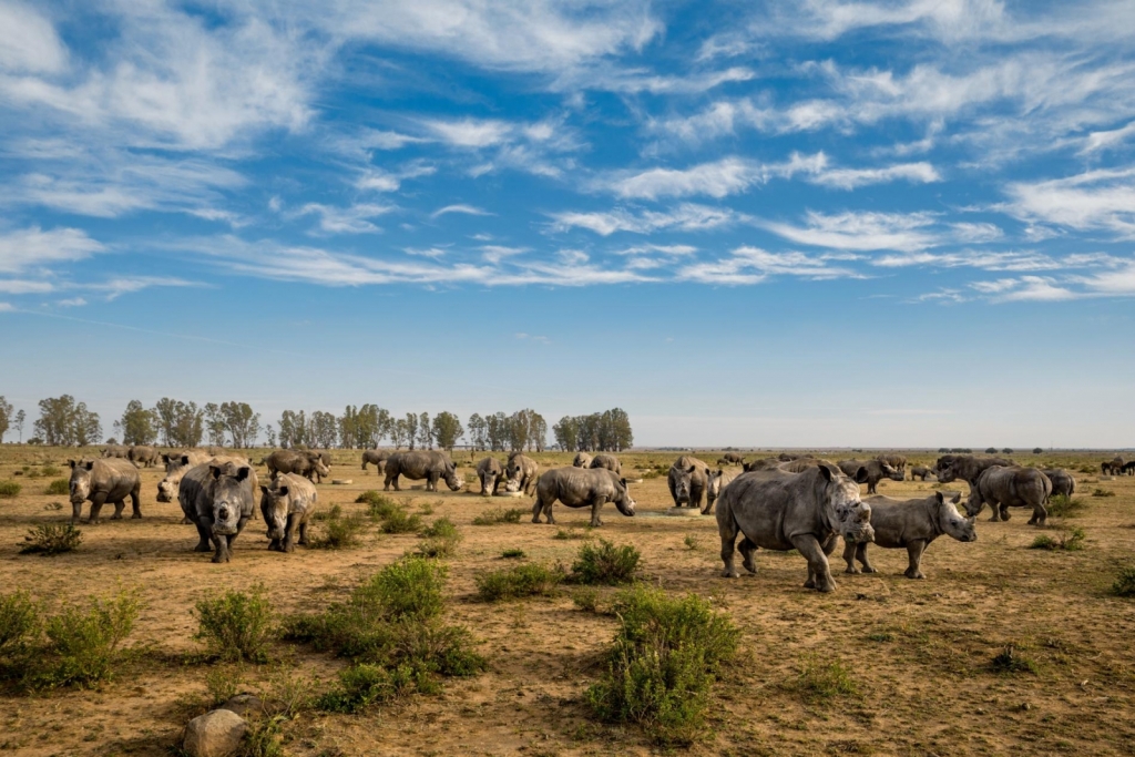 Photograph by BRENT STIRTON