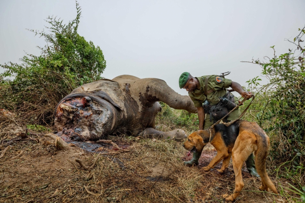 Photograph by BRENT STIRTON