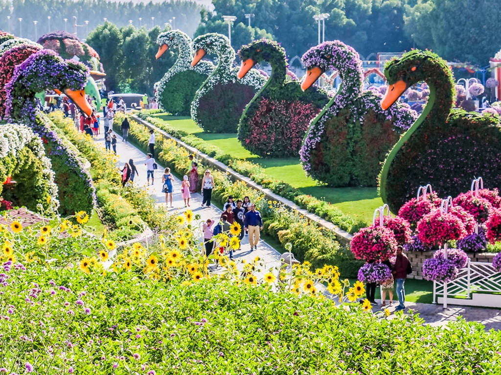 Miracle Garden, Дубаи